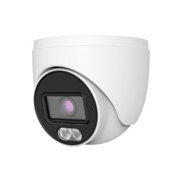 Picture of TVT  HD 2 MP Dome Camera, TD-7524TE3S